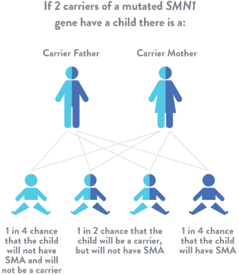 Spinal Muscular Atrophy SMN1 Gene